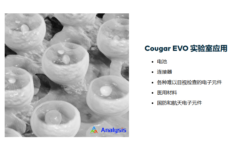 微焦点X射线成像系统 Cougar EVO
